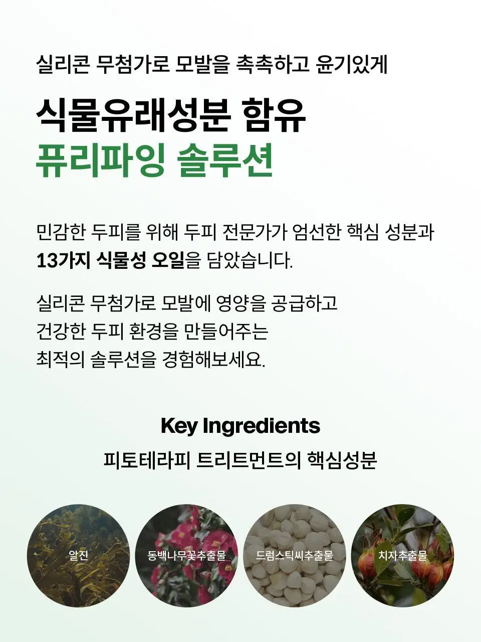 [두피케어] 닥터포헤어 피토테라피 트리트먼트 500ml 상세페이지 12